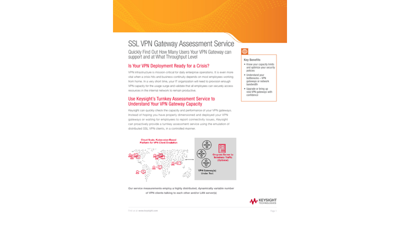 SSL VPN Gateway Assessment Service